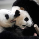 Foto: Joshua Paul / AP Images.